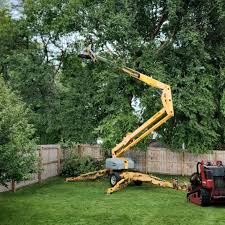 Best Tree Trimming and Pruning  in Bowmansville, PA